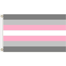 Demigirl Pride Flag 3x5 Ft - Rose Gold Co. Shop