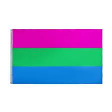 Polysexual Pride Flag 3x5ft - Rose Gold Co. Shop