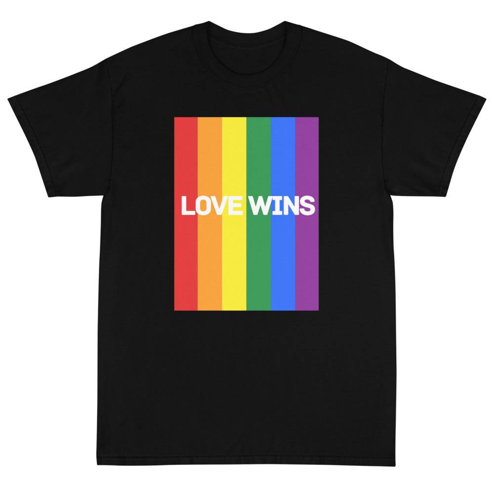 Love Wins rainbow tee, view 4 — Rose Gold Co