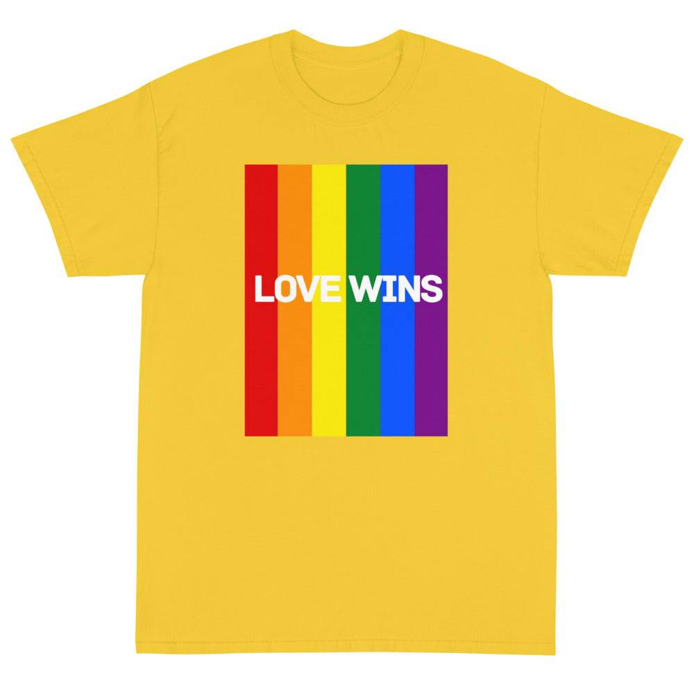 Love Wins rainbow tee, view 6 — Rose Gold Co
