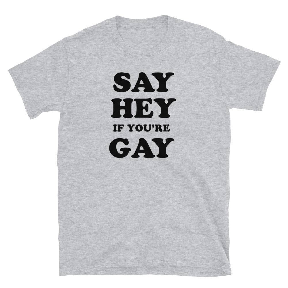 Say Hey If You're Gay graphic tee, view 4 — Rose Gold Co
