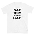 Say Hey If You're Gay graphic tee, view 3 — Rose Gold Co